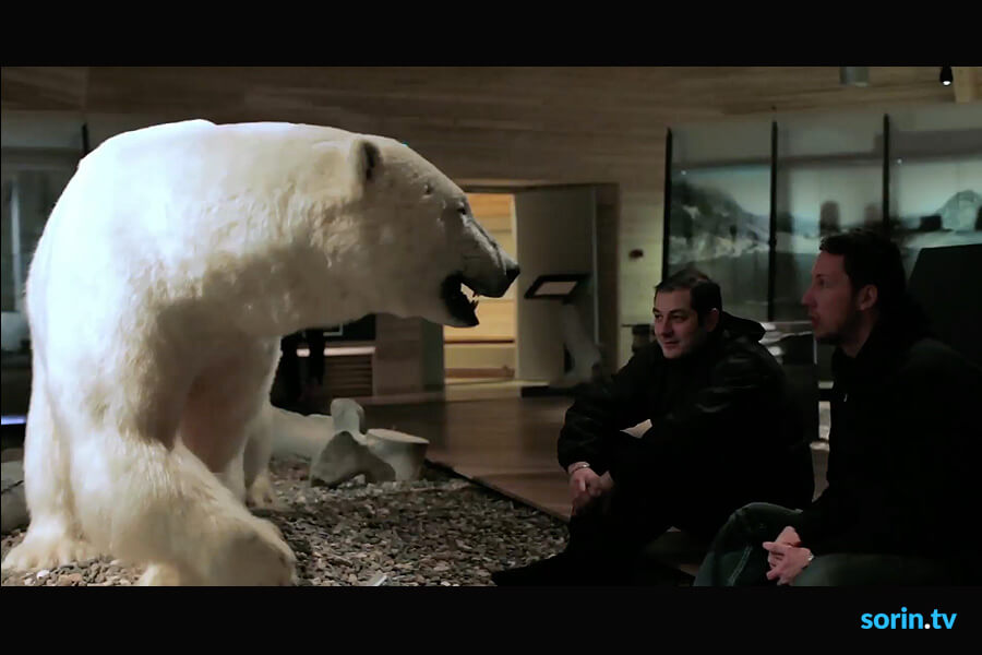 Svalbard Polar Bear Tours