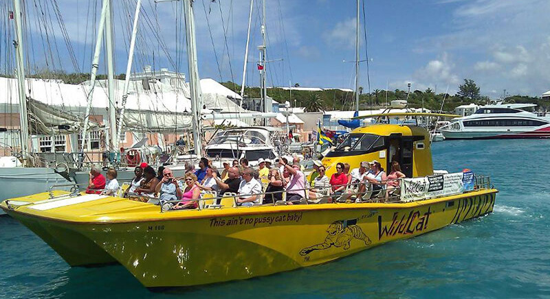 wildcat boat tour bermuda
