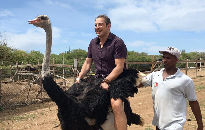 riding ostrich in curacao