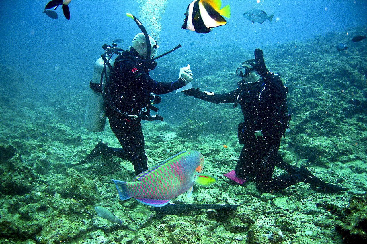 scuba diving curacao